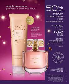 Catálogo L'bel Página 15