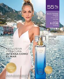 Catálogo L'bel Página 17