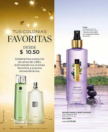 Catálogo L'bel Página 20