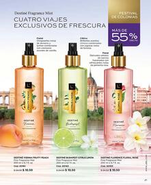 Catálogo L'bel Página 21