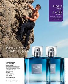 Catálogo L'bel Página 27