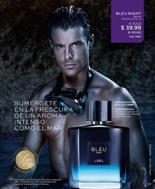 Catálogo L'bel Página 29