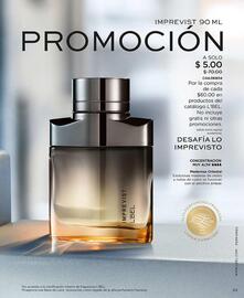 Catálogo L'bel Página 33