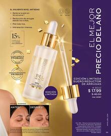 Catálogo L'bel Página 39