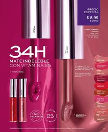 Catálogo L'bel Página 73