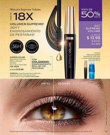 Catálogo L'bel Página 99