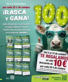 Folleto Masymas Página 2