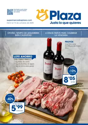 Folleto Supermercados Plaza (válido hasta el 15-10)