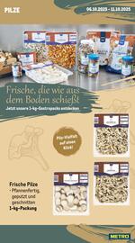 METRO Prospekt woche 41 Seite 9