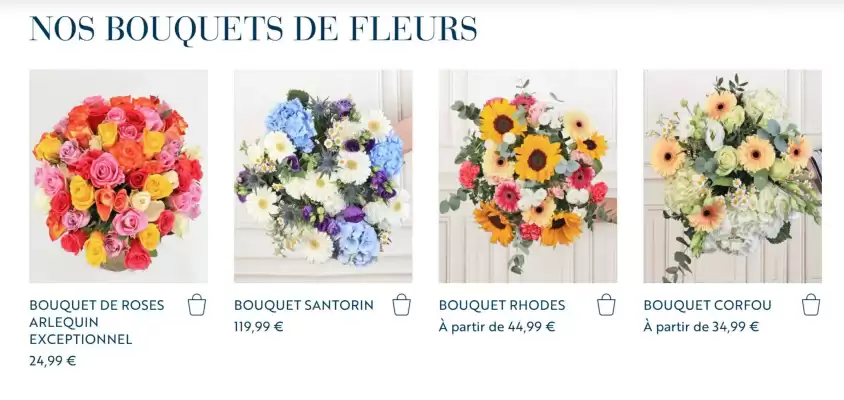 Catalogue Monceau Fleurs (valable jusqu'au 26-10)