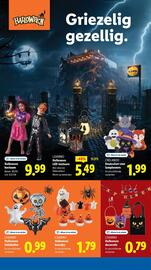 Lidl folder Pagina 28
