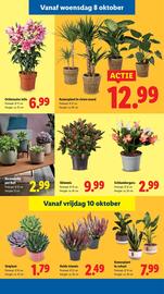 Lidl folder Pagina 36