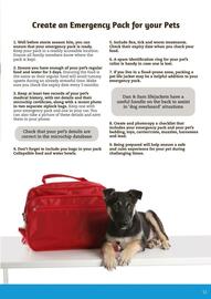 Pets Domain catalogue Page 11