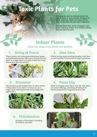 Pets Domain catalogue Page 13