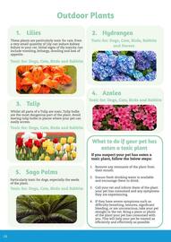 Pets Domain catalogue Page 14