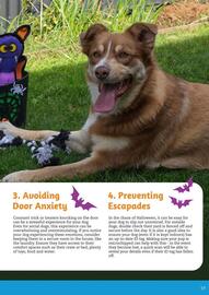 Pets Domain catalogue Page 19