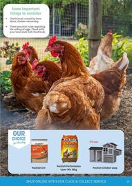 Pets Domain catalogue Page 25