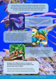 Pets Domain catalogue Page 29