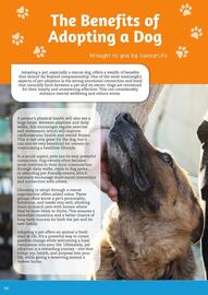 Pets Domain catalogue Page 44