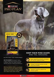 Pets Domain catalogue Page 45