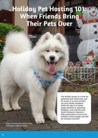 Pets Domain catalogue Page 46