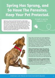 Pets Domain catalogue Page 5