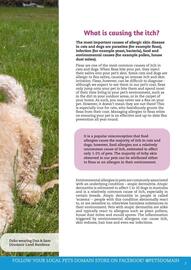 Pets Domain catalogue Page 7