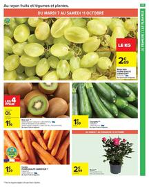 Catalogue Carrefour Drive page 19