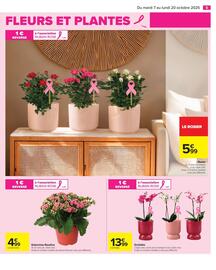 Catalogue Carrefour Drive page 7