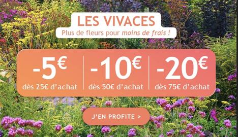Catalogue Willemse France page 1