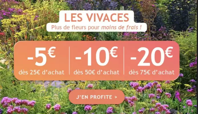 Catalogue Willemse France (valable jusqu'au 19-10)