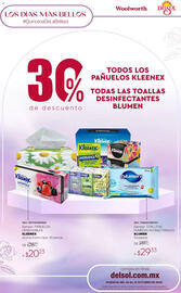 Catálogo Woolworth Página 29