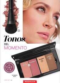 Catálogo Mary Kay Página 102