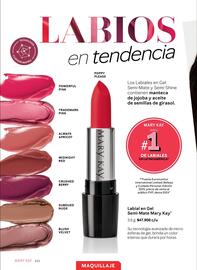 Catálogo Mary Kay Página 111