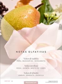 Catálogo Mary Kay Página 13
