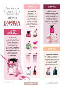 Catálogo Mary Kay Página 6