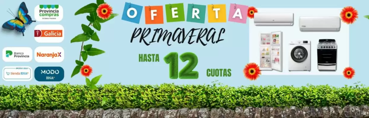 Revista Aloise (válido hasta 31-10)