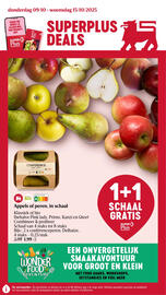 Delhaize folder week 41 Pagina 1
