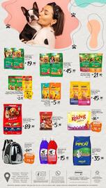 Encarte Giassi Supermercados Página 10