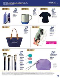 Catálogo Terramar Brands Página 43