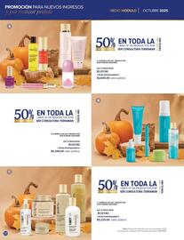 Catálogo Terramar Brands Página 50