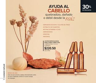 Catálogo Terramar Brands Página 20