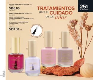 Catálogo Terramar Brands Página 32