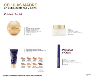 Catálogo Terramar Brands Página 35