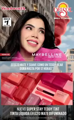 Folleto DelSol (válido hasta 31-10)