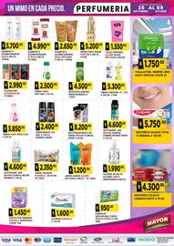 Catálogo Supermercados Mayor semana 40 Página 5