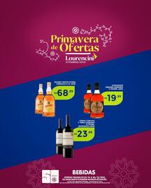 Catálogo Lourencini Supermercados Página 2