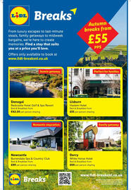 Lidl leaflet week 41 Page 17