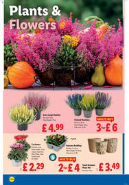 Lidl leaflet week 41 Page 20