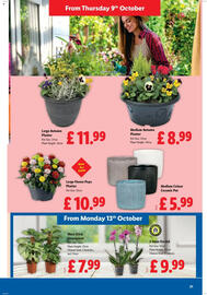 Lidl leaflet week 41 Page 21